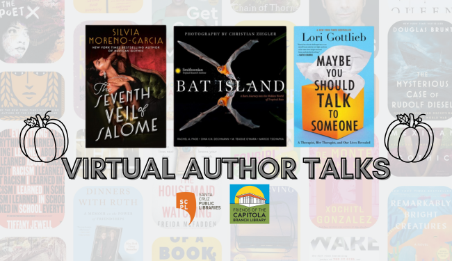 Virtual Author Talks